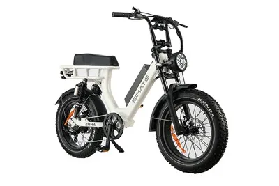 Bicicleta eléctrica de montaña Fat Tire