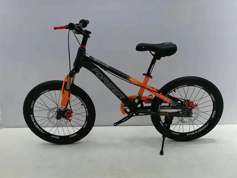 Bicicleta para niños de 22 pulgadas para deportes al aire libre