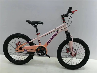 Ciclo de 16 pulgadas