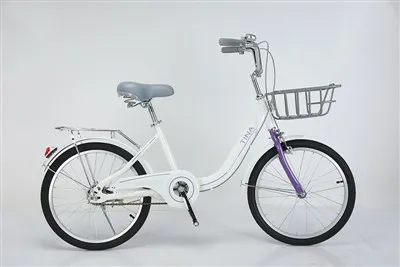 Bicicleta duradera para niñas de acero con alto contenido de carbono